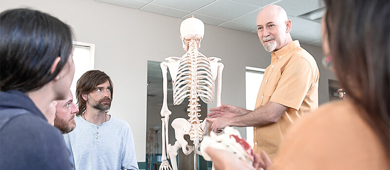 Rolf Institute teacher points to the Iliac crest on a prop skeleton to teach students about anatomical structures and how they integrate within the practice of Rolfing Structural Integration.